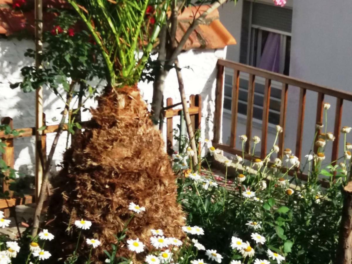 Traditional House Paschalis Καβάλα Εξωτερικό φωτογραφία